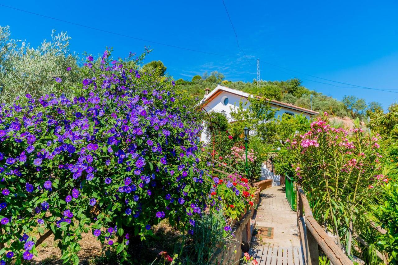 아르달레스 Cubo'S Casa El Pantanillo 빌라 외부 사진